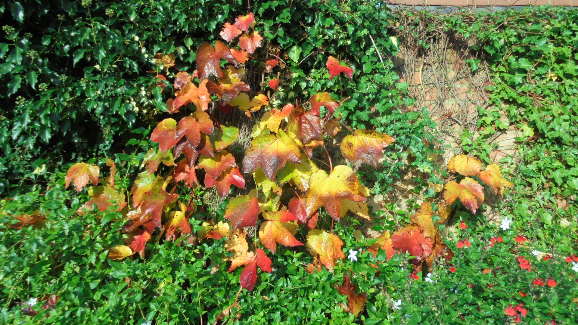 DSC02710.JPG