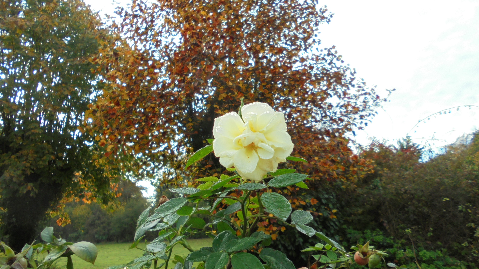 DSC02719.JPG