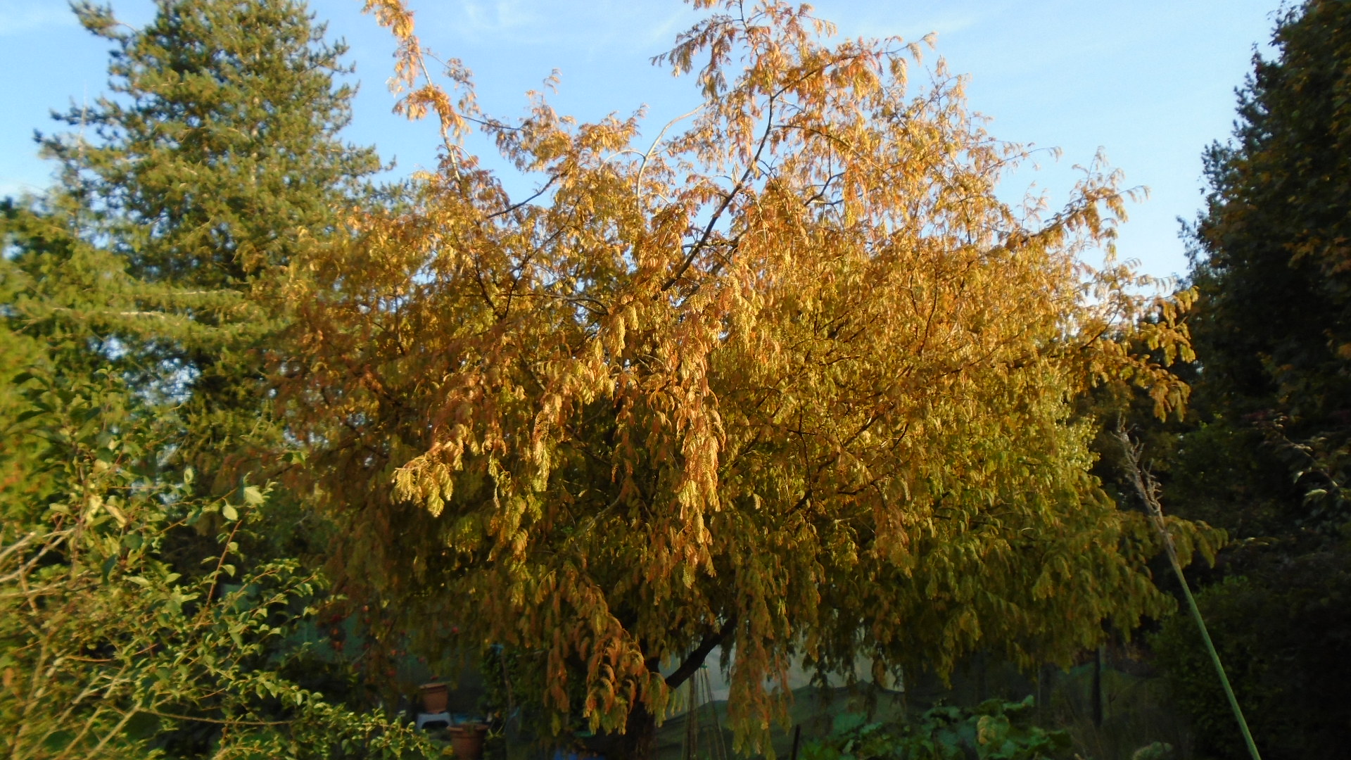 DSC02823.JPG