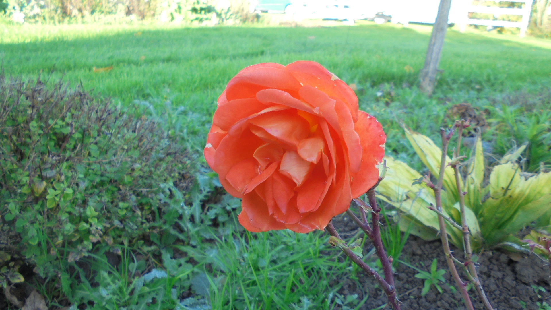 DSC02861.JPG