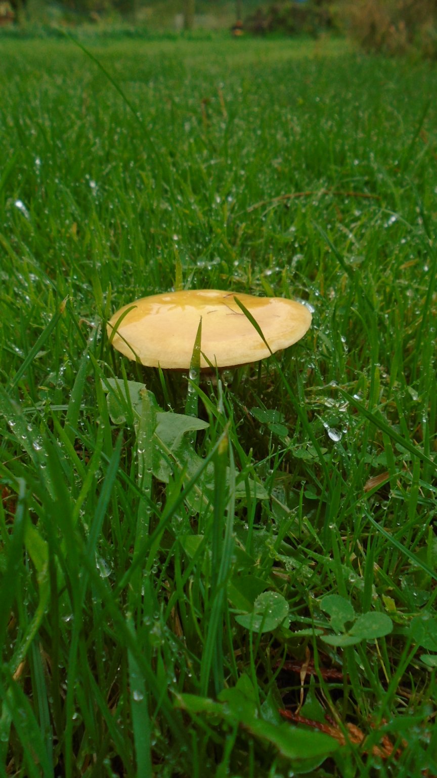 DSC02899.JPG