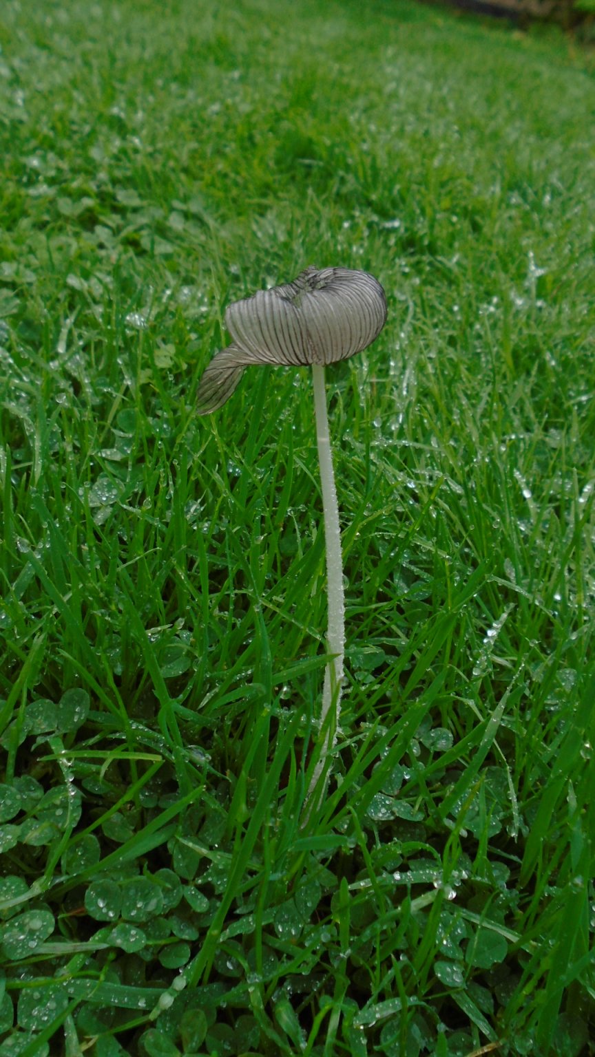 DSC02900.JPG