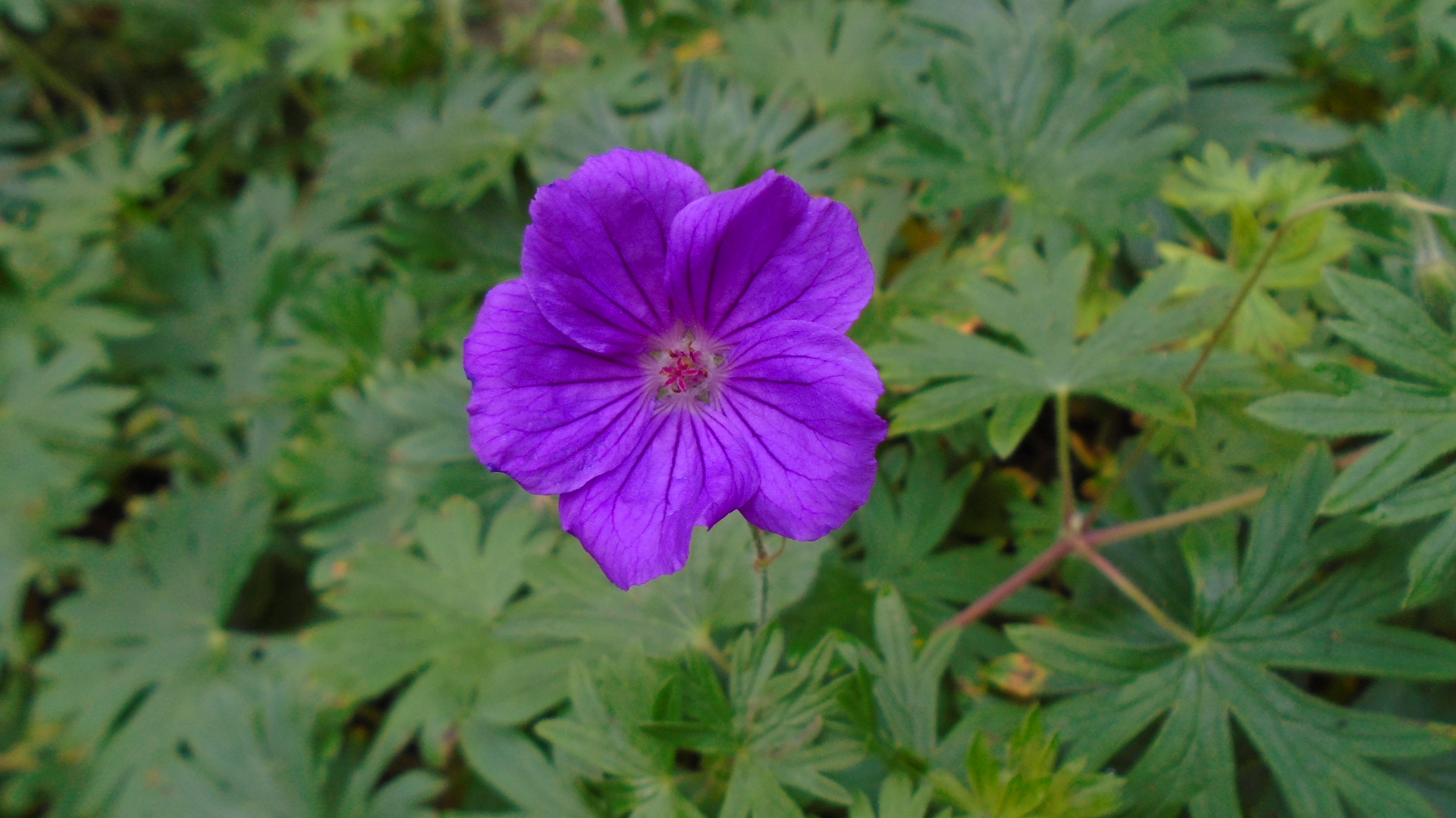 DSC02920.JPG