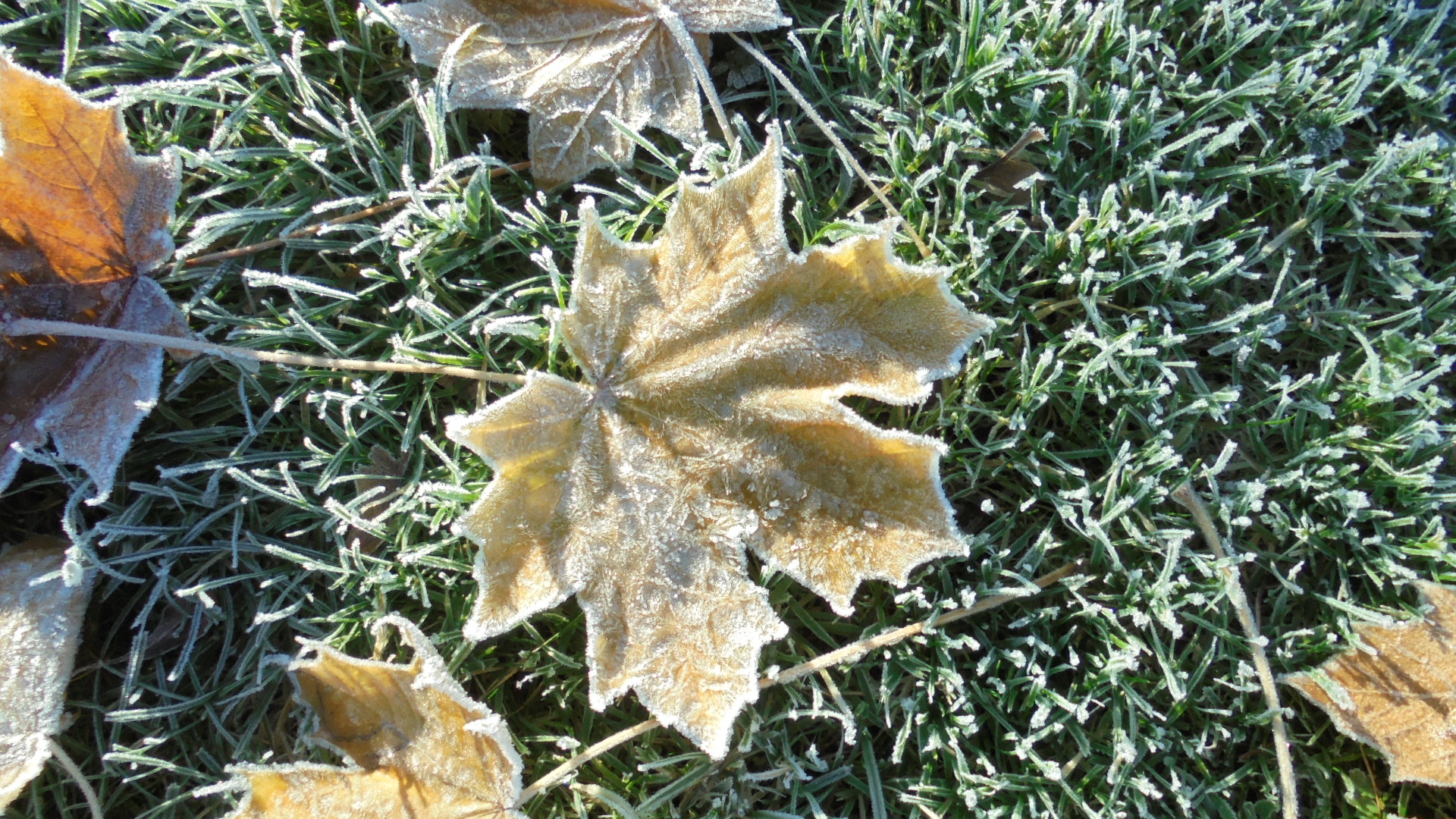 DSC03001.JPG