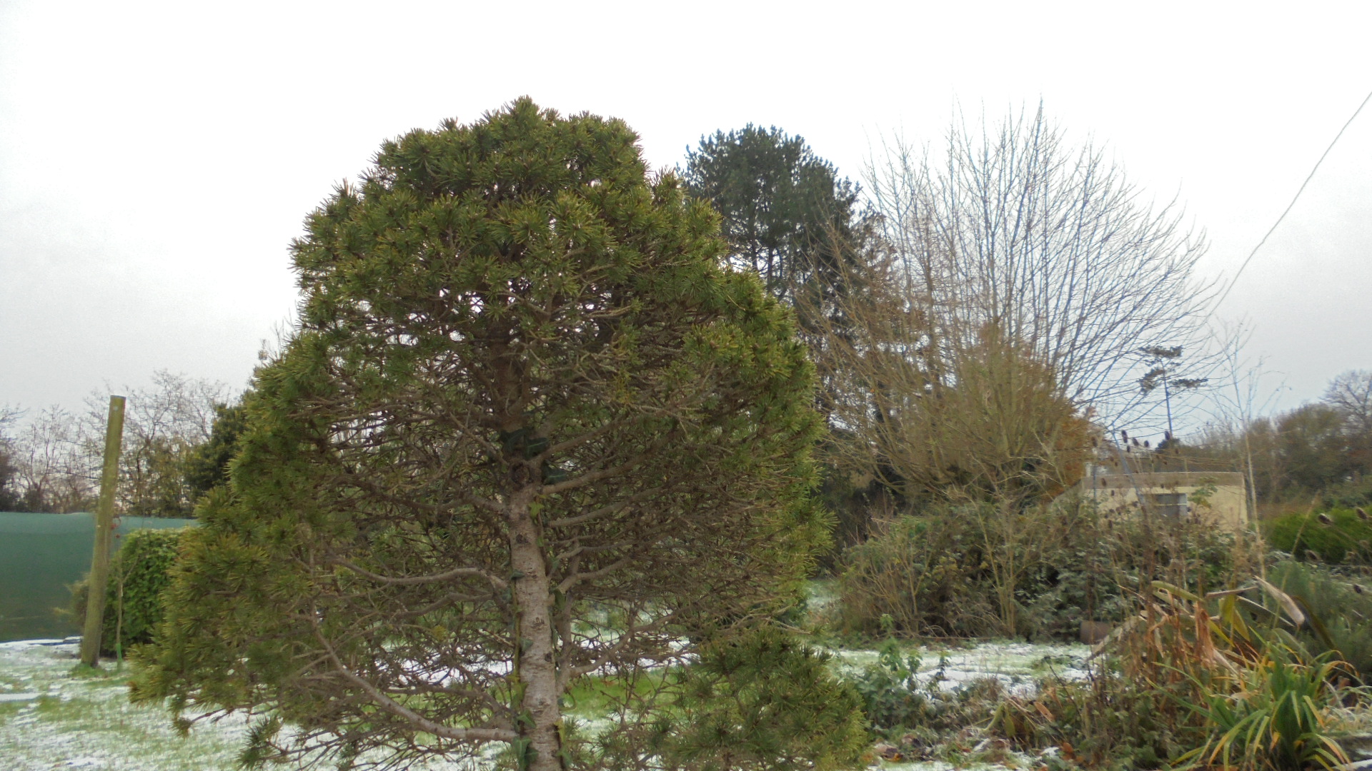 DSC03016.JPG