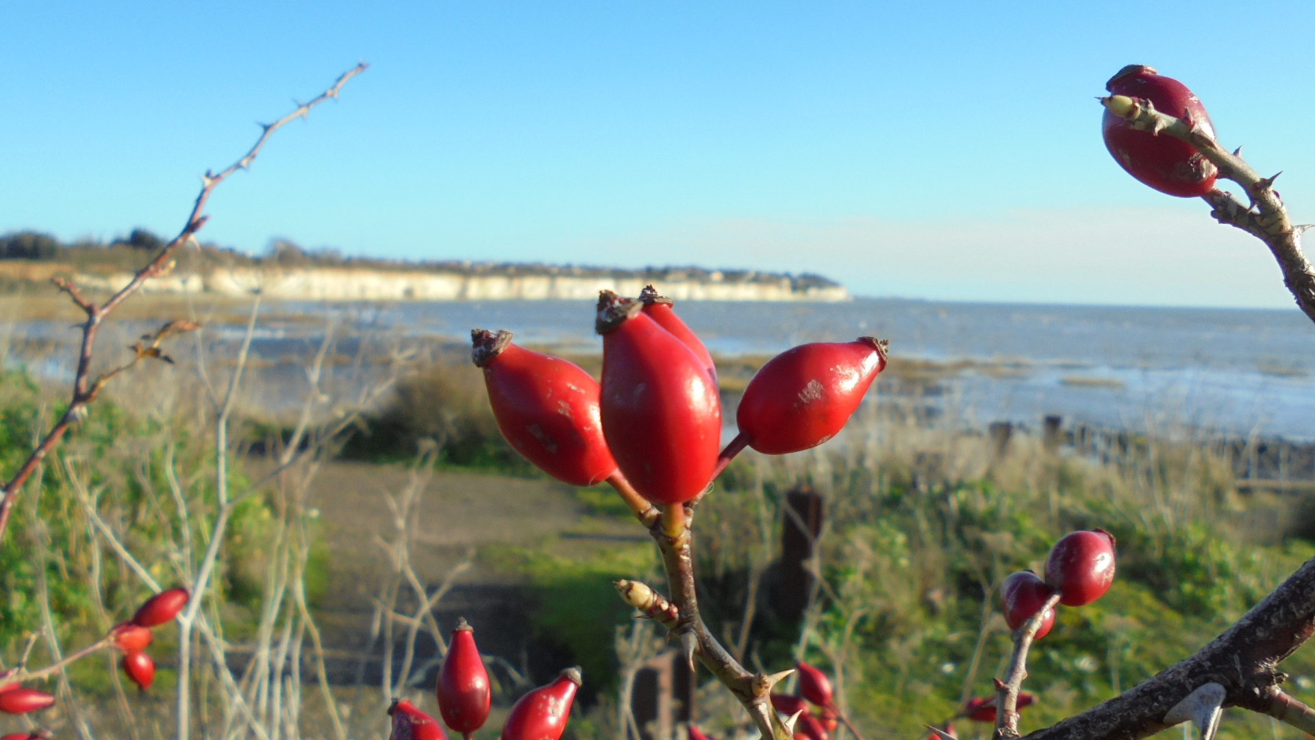 DSC03275.JPG