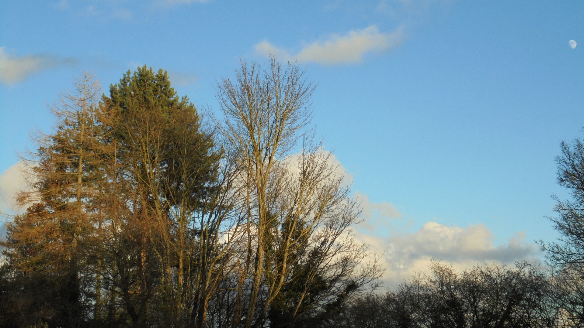 DSC03320.JPG