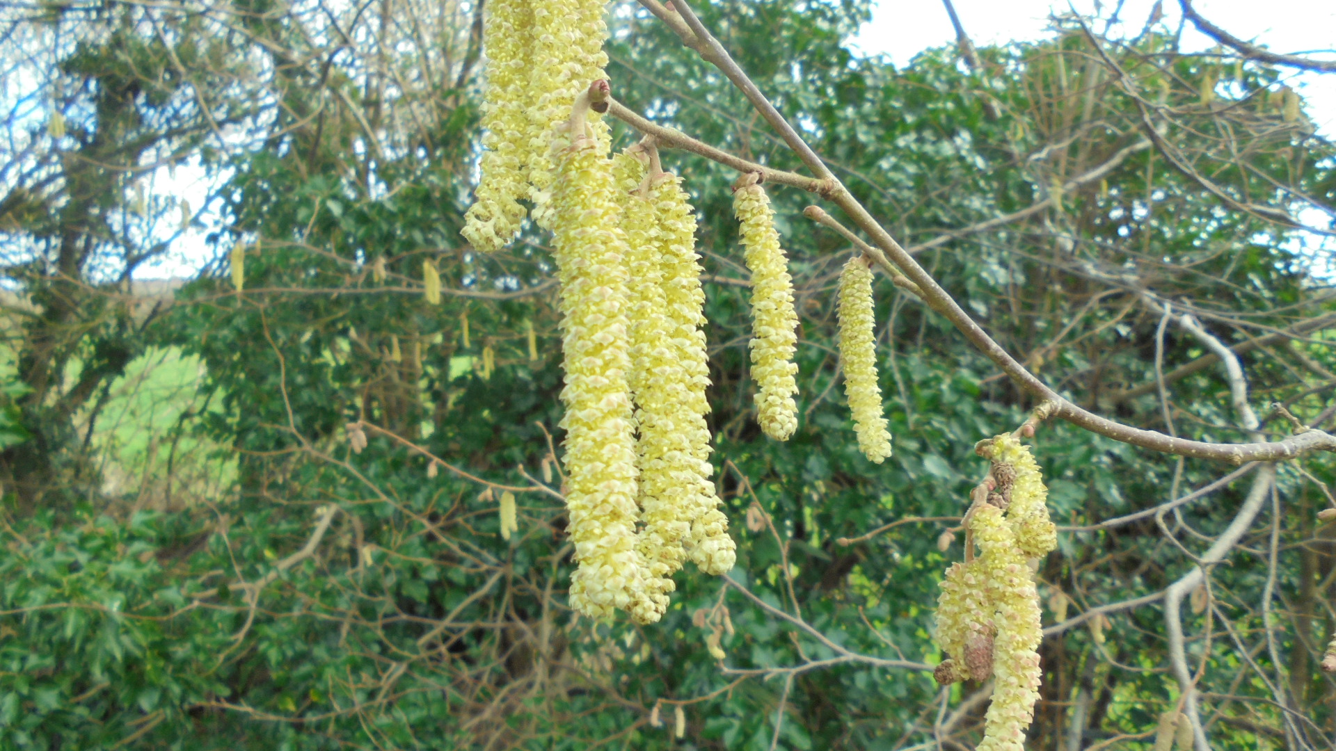 DSC03818.JPG