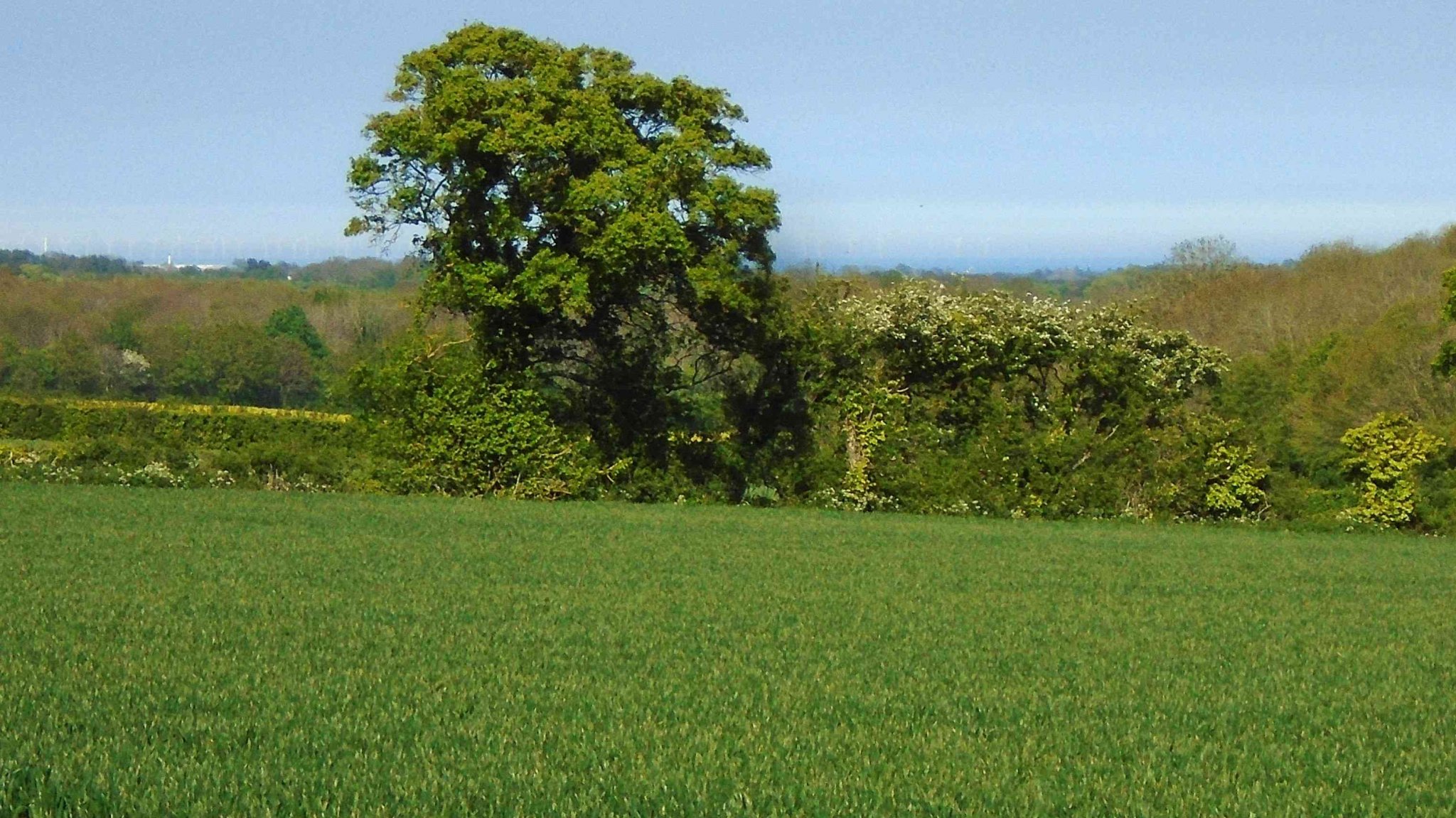 DSC04415.jpg