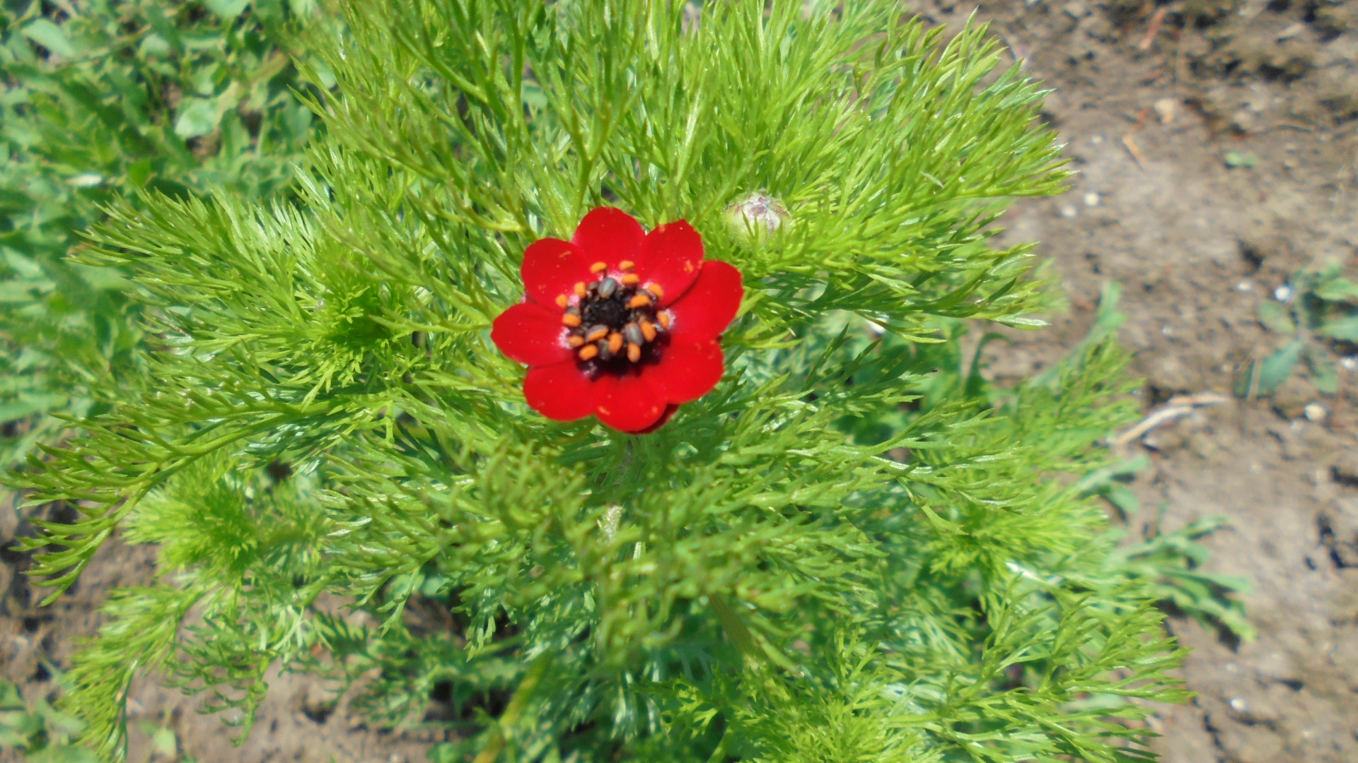 DSC04901.JPG