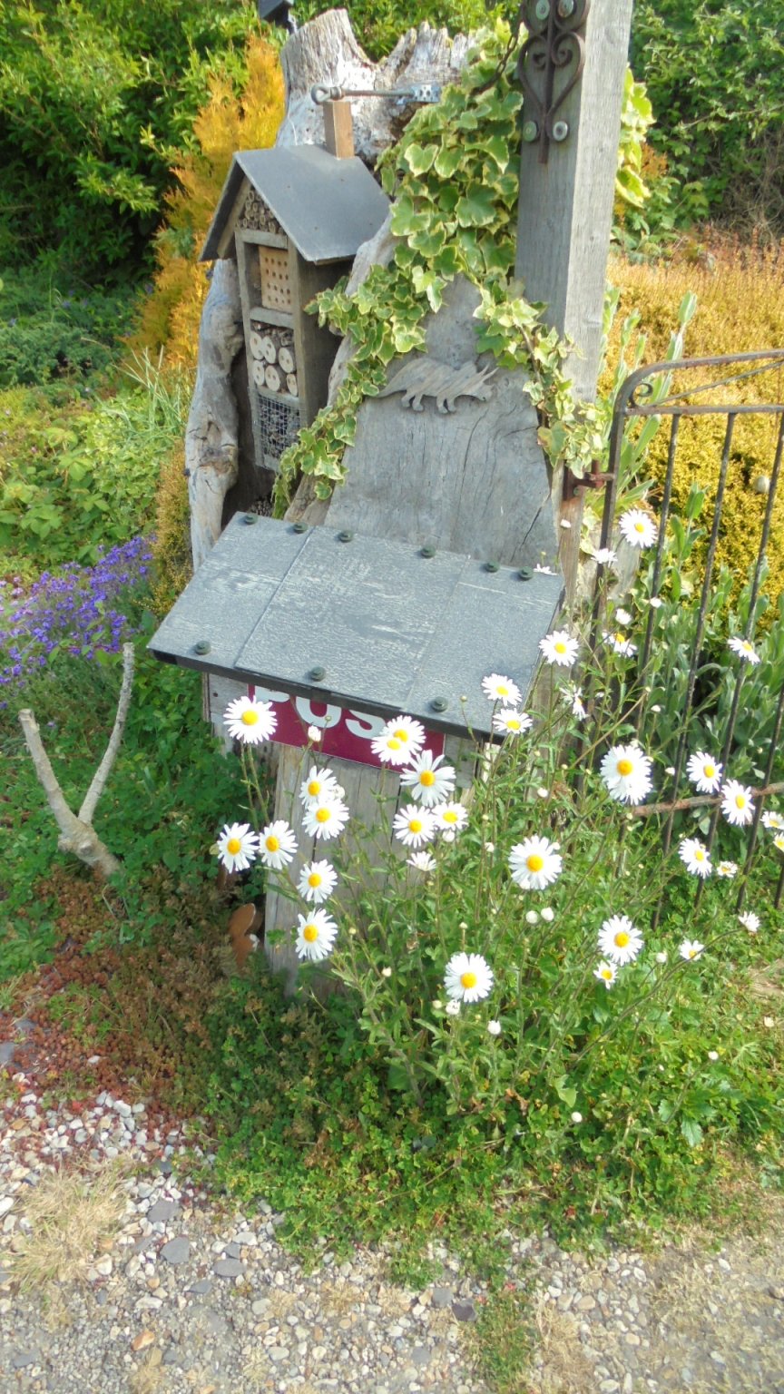 DSC05095.JPG