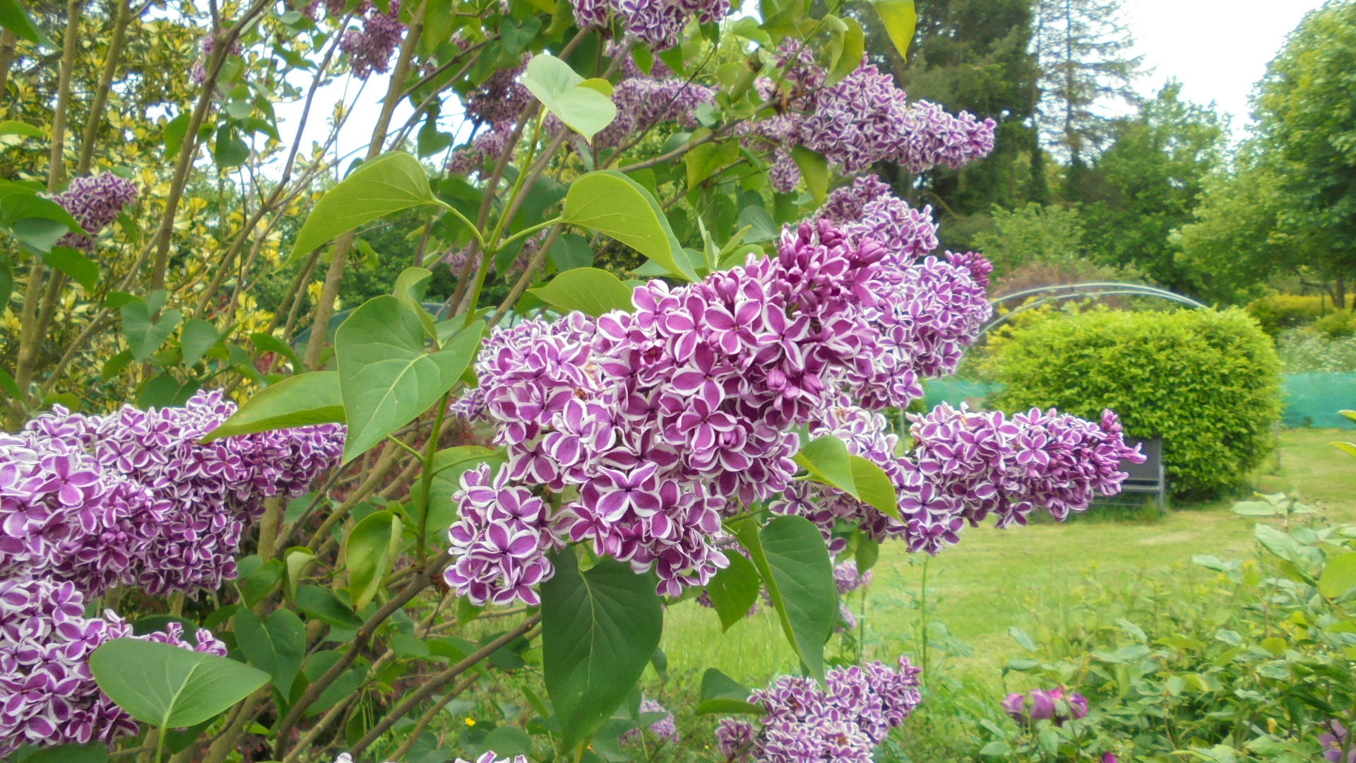 DSC05175.JPG