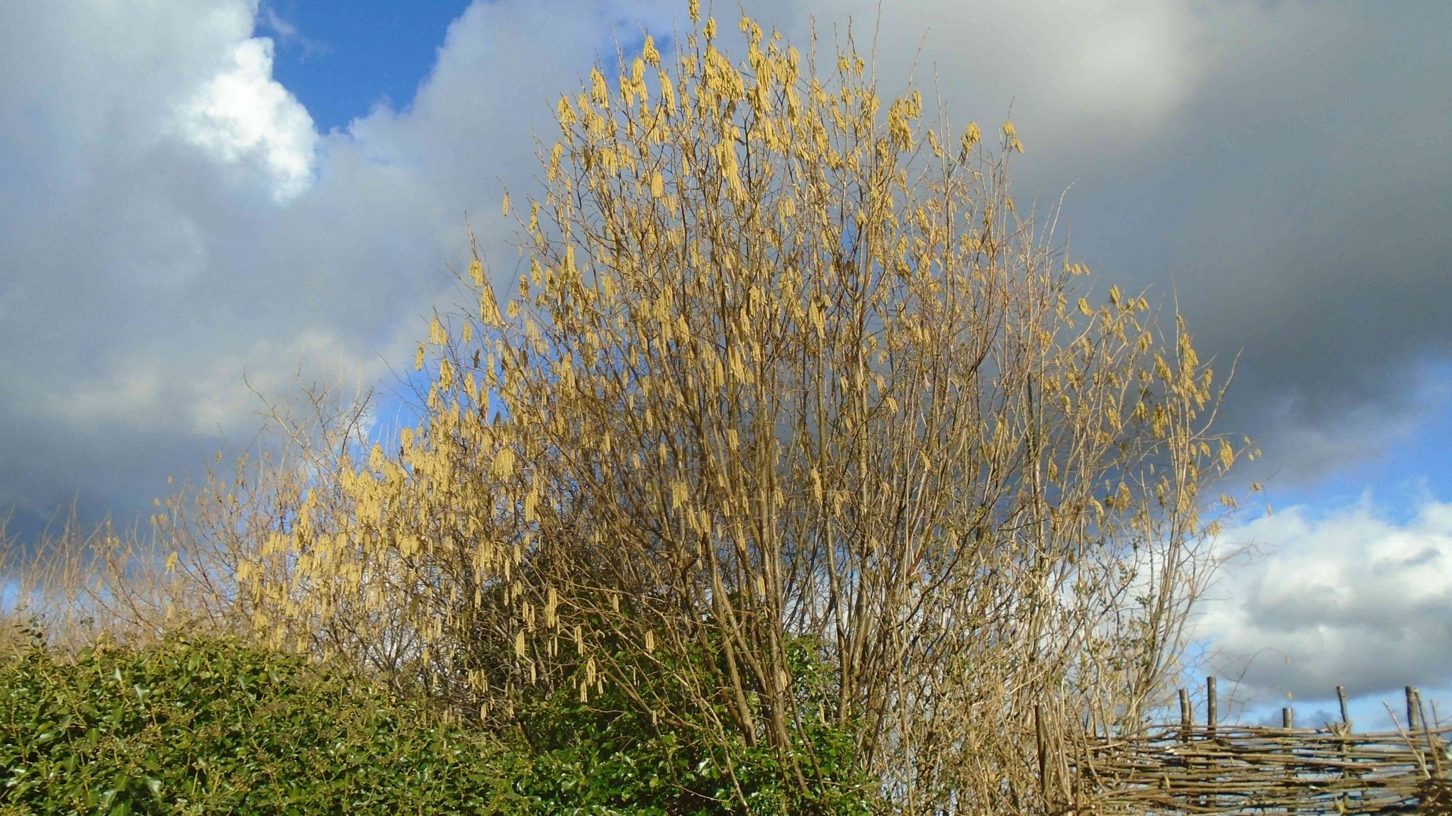 DSC08731.JPG