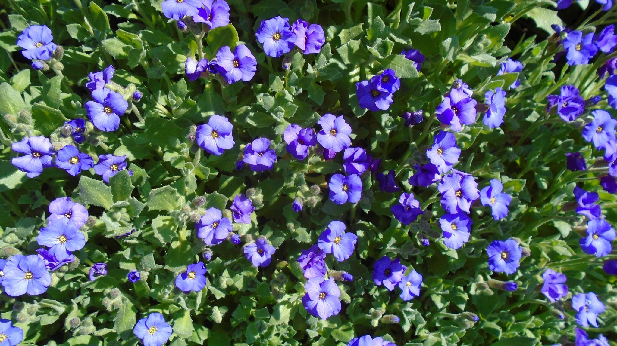 DSC09035.jpg