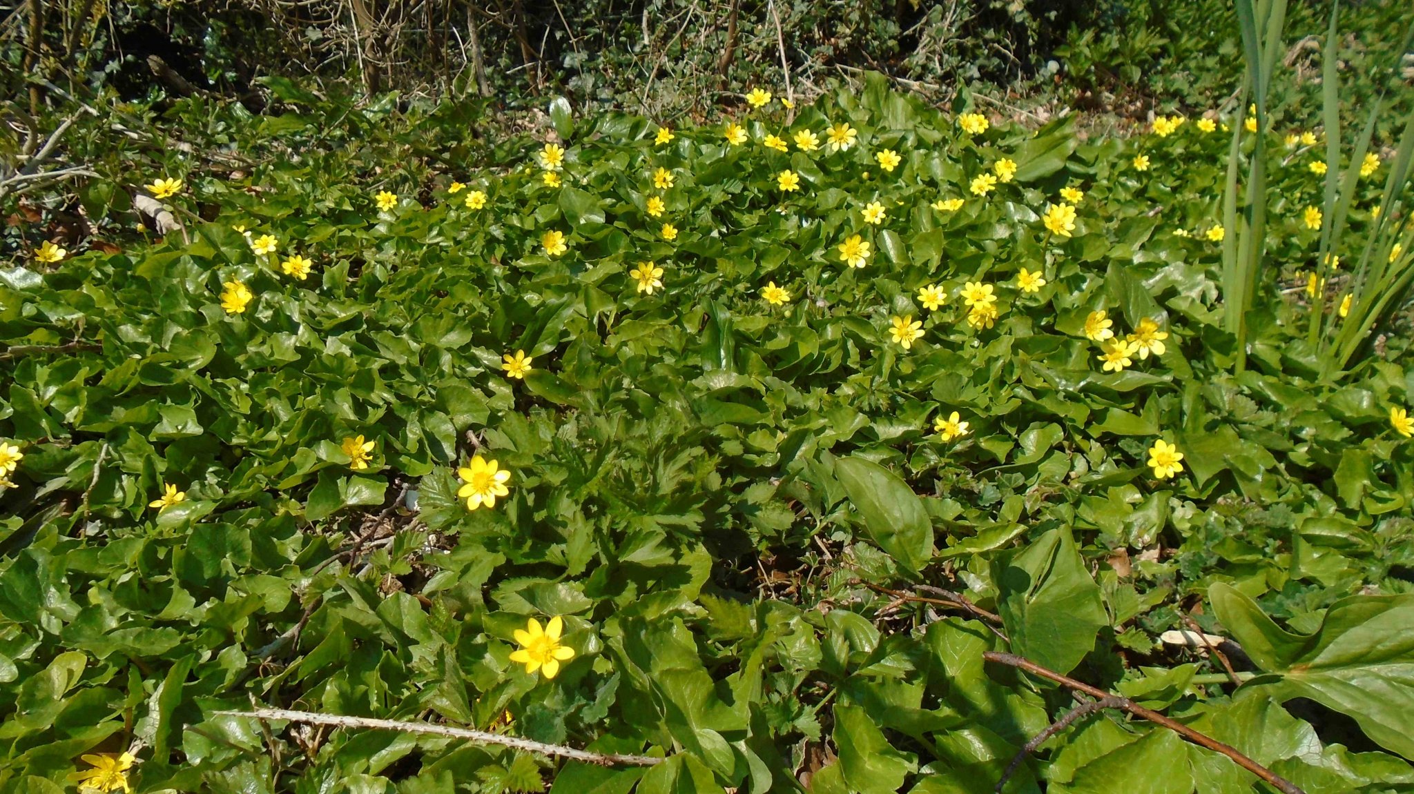 DSC09044.jpg