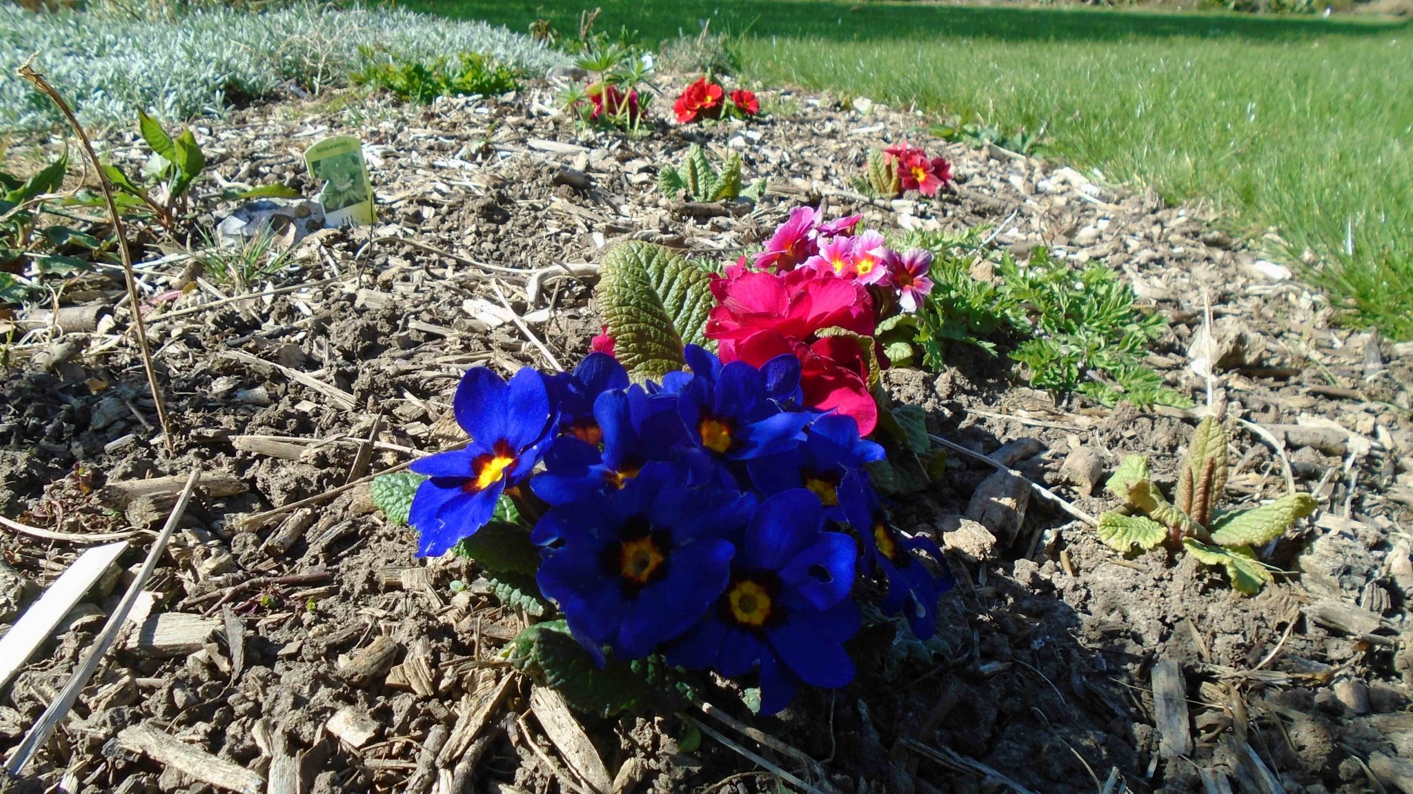 DSC09092.jpg