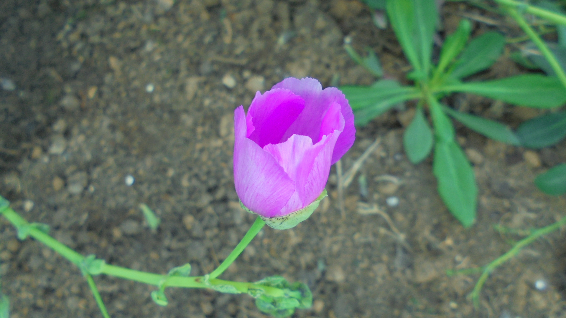 DSC09338.JPG