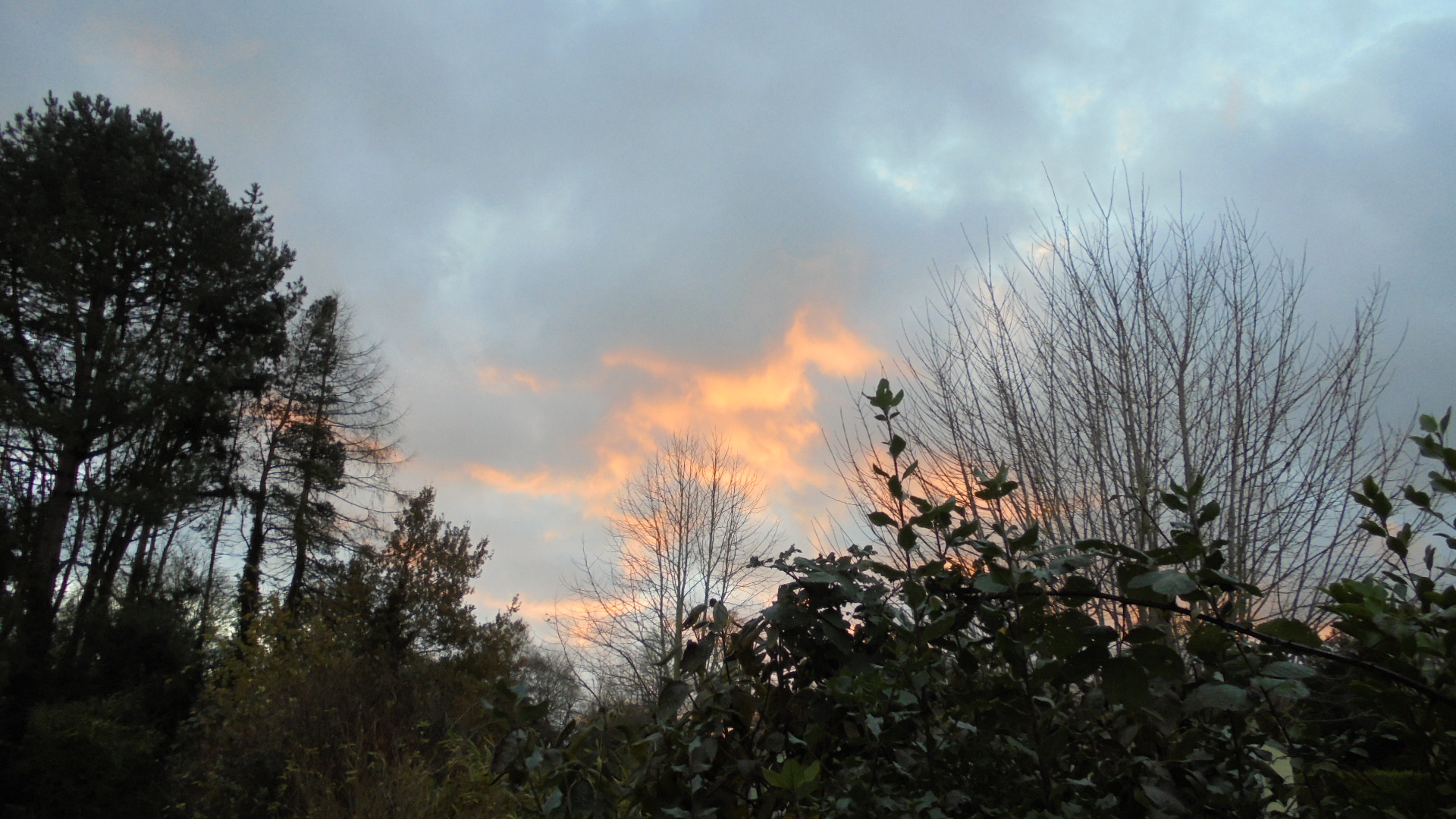 DSC09510.JPG