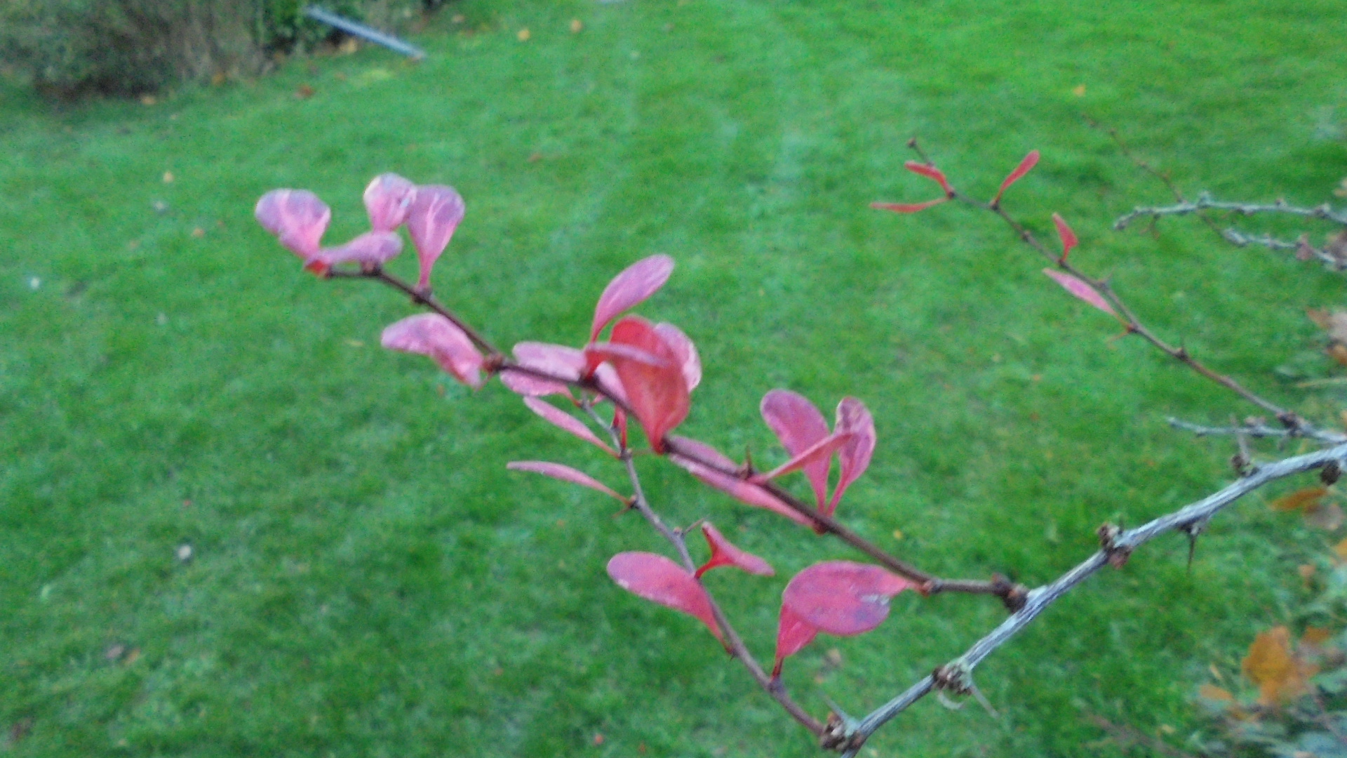 DSC09511.JPG