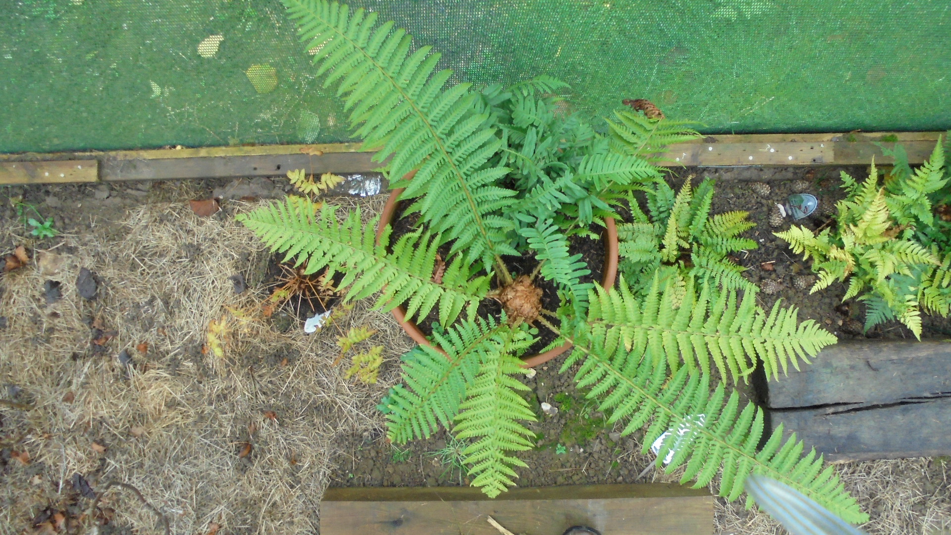 DSC09517.JPG