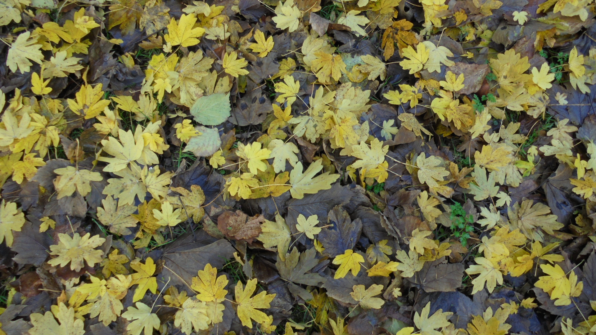 DSC09573.JPG