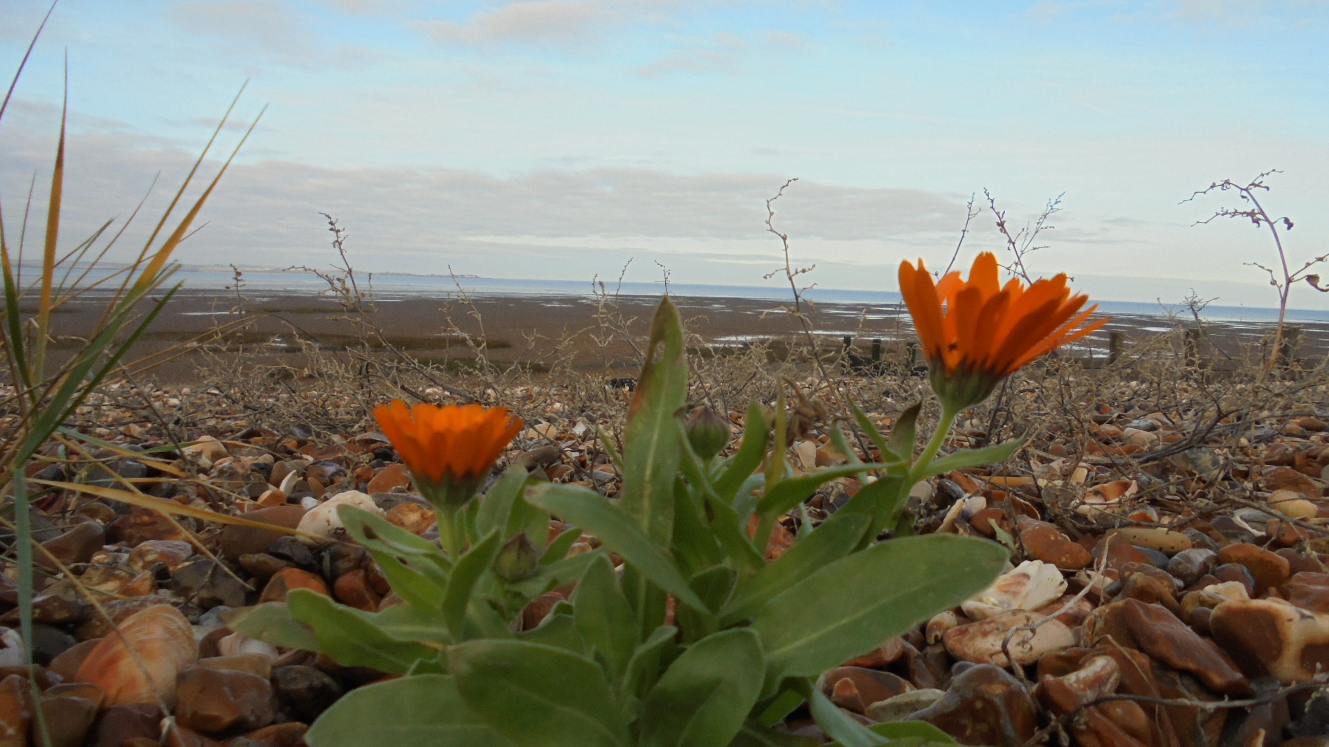 DSC09580.JPG