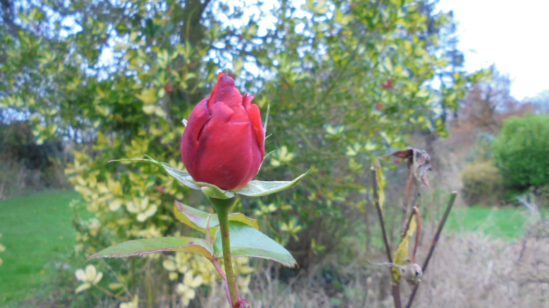 DSC09582.JPG