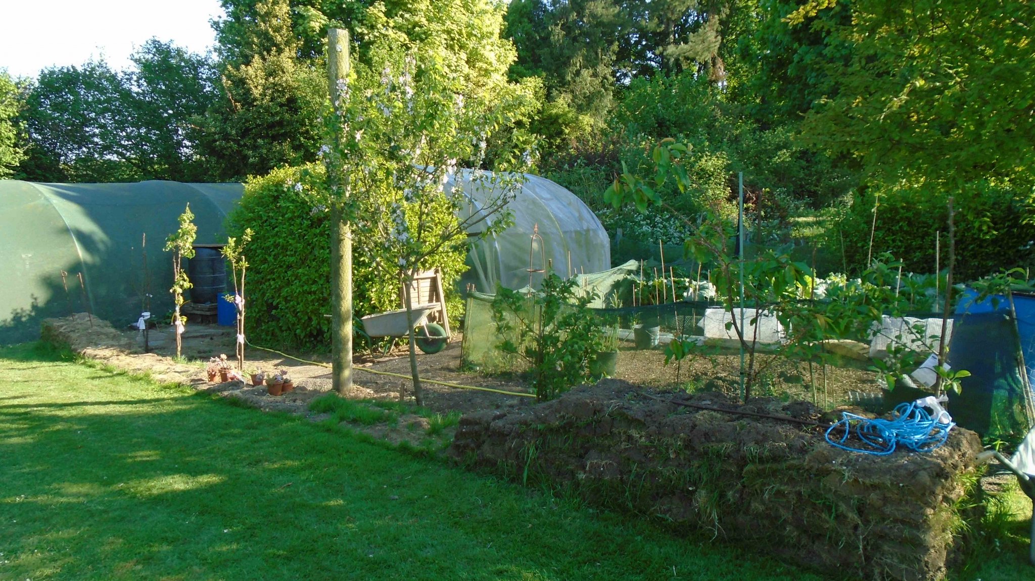 DSC09614.jpg