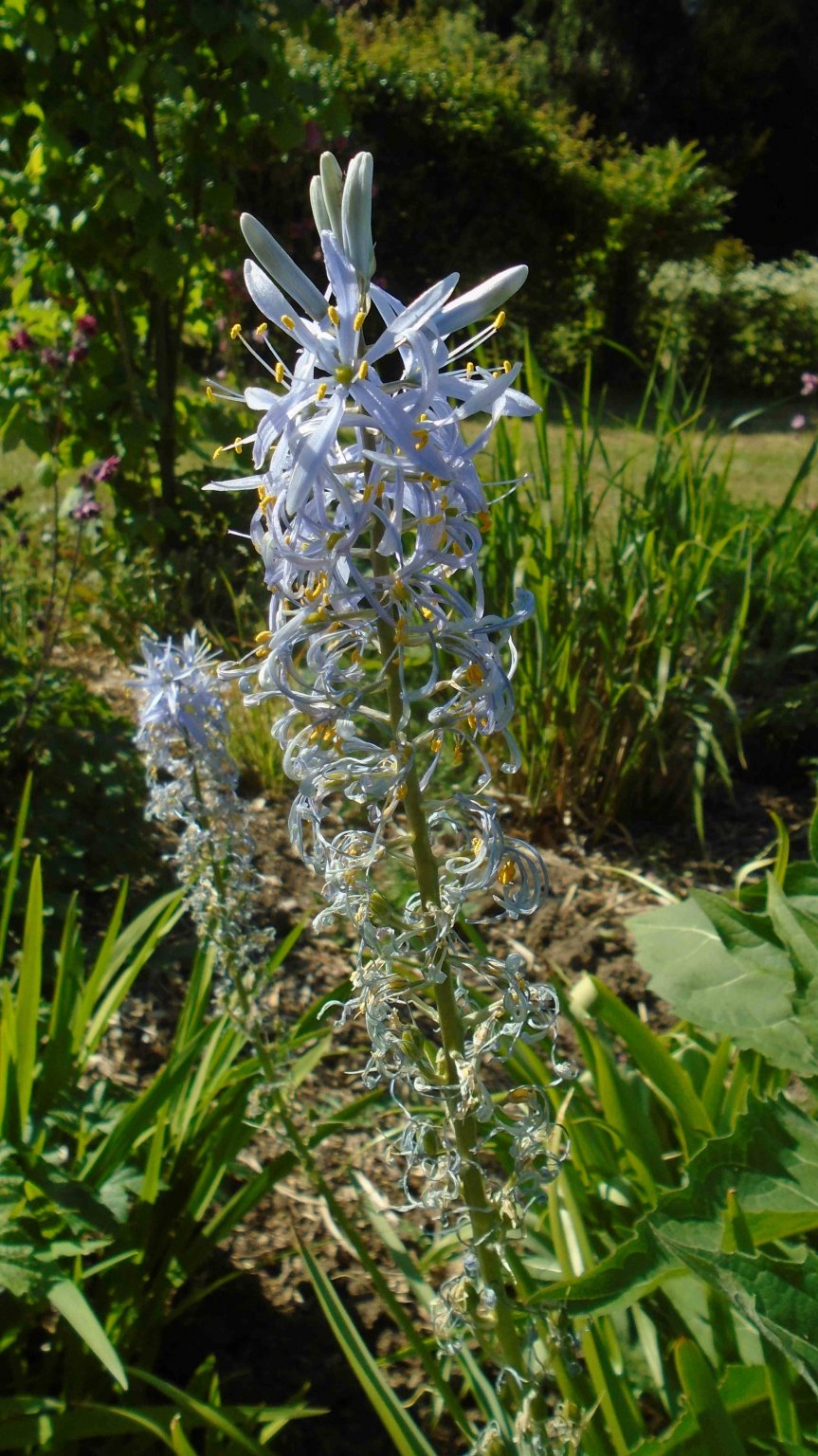 DSC09729.jpg