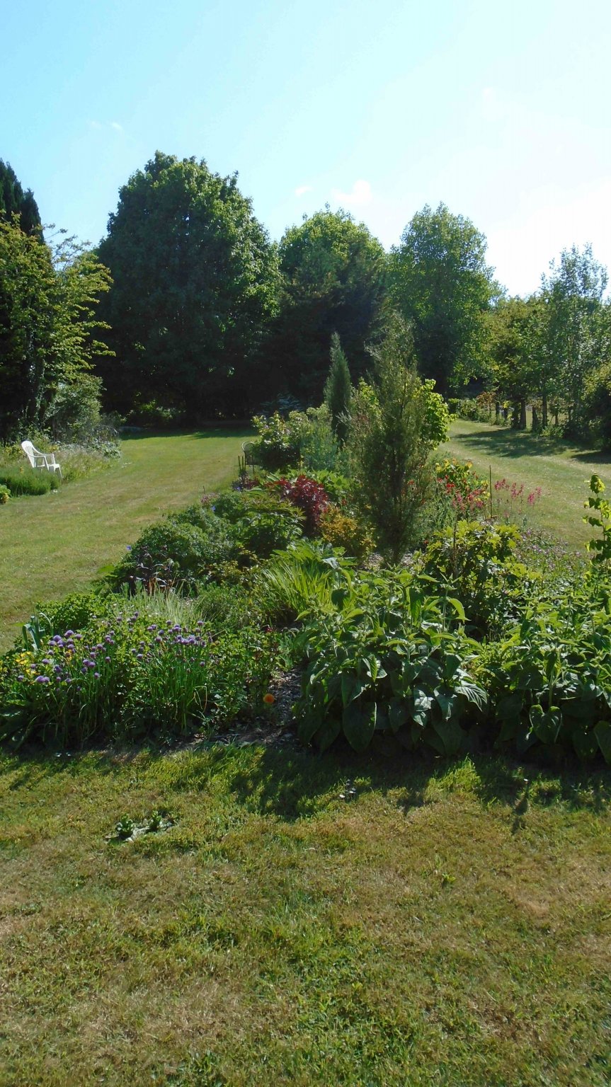 DSC09735.jpg