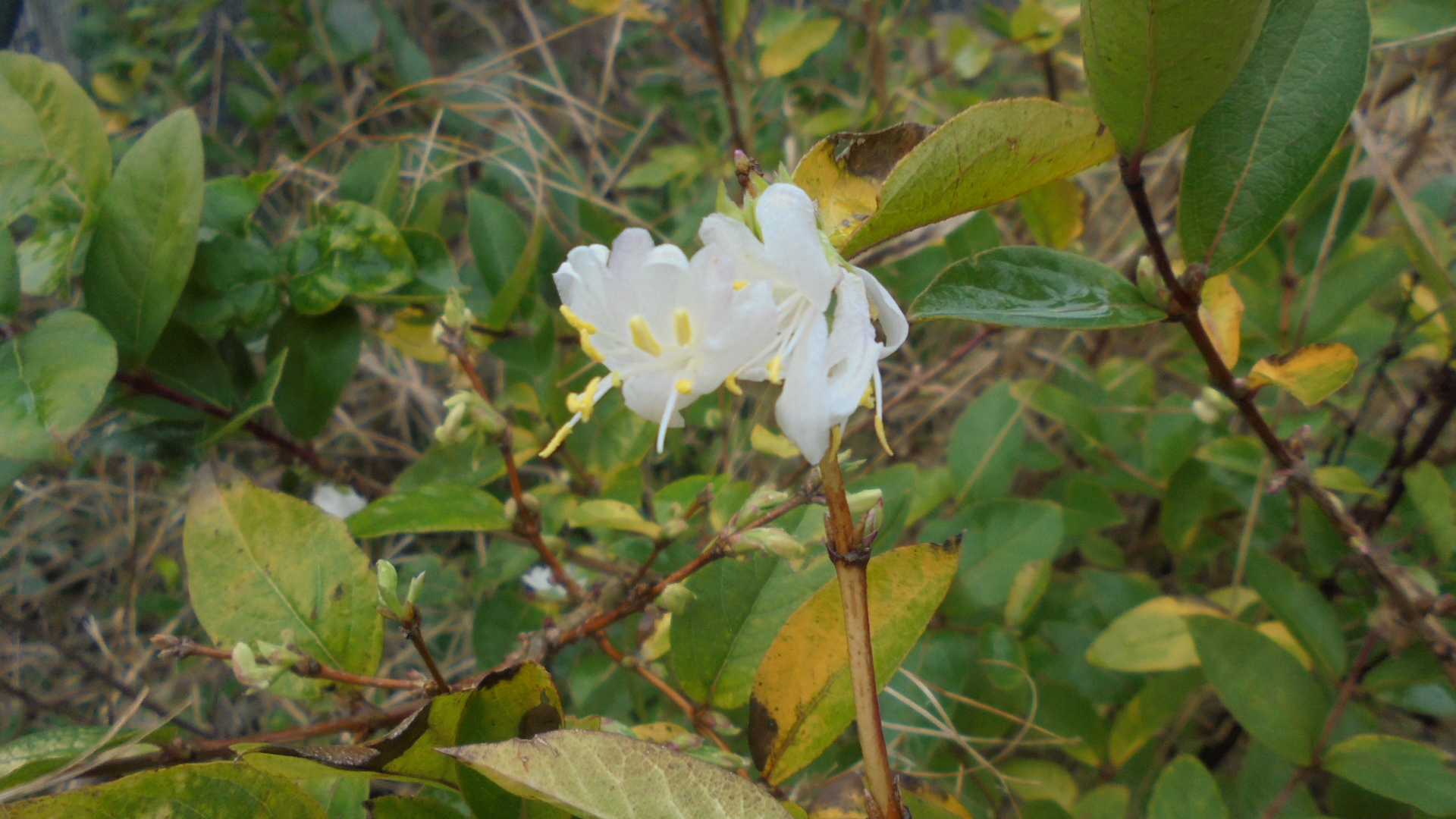 DSC09892.JPG