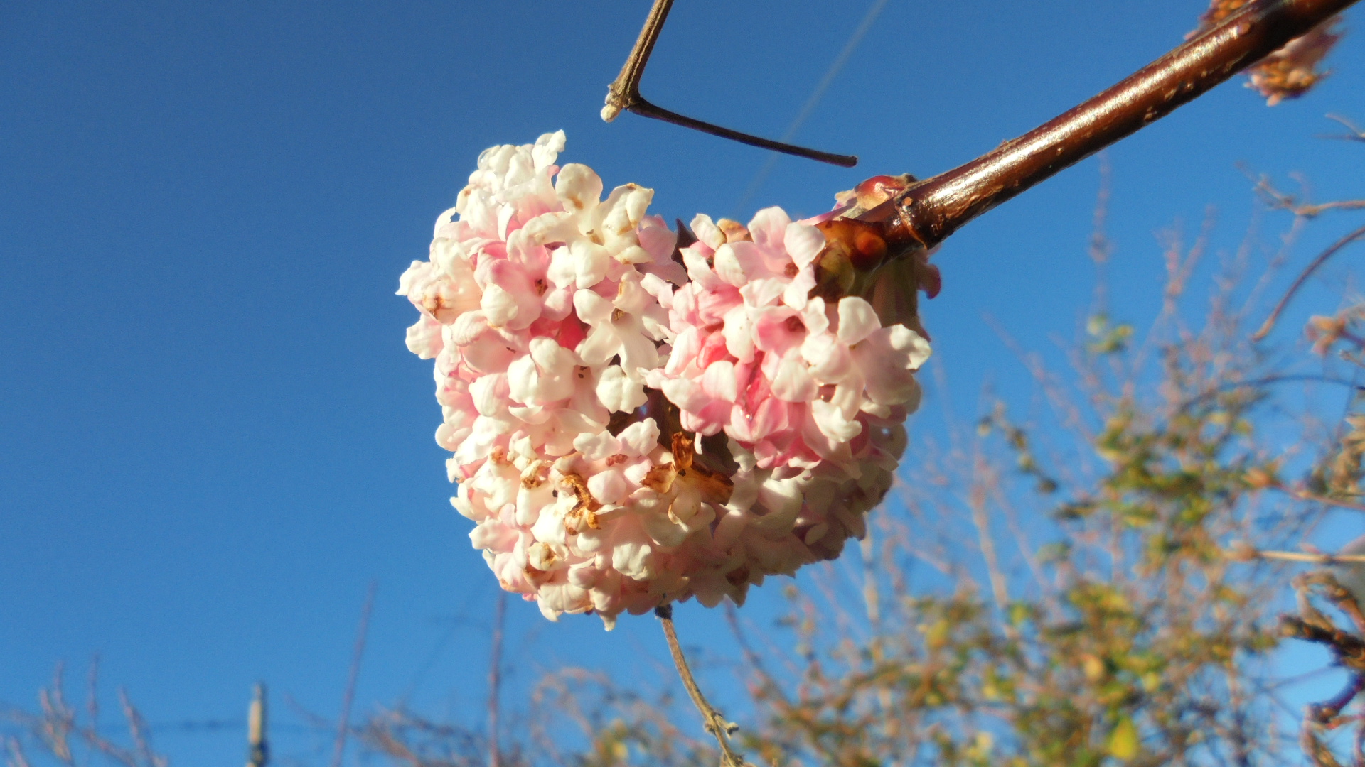 DSC09934.JPG