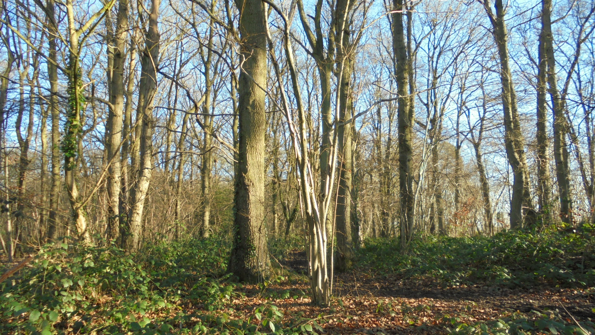 DSC09937.JPG
