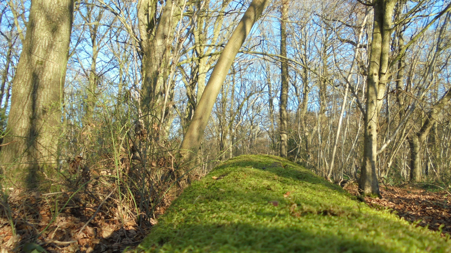 DSC09938.JPG