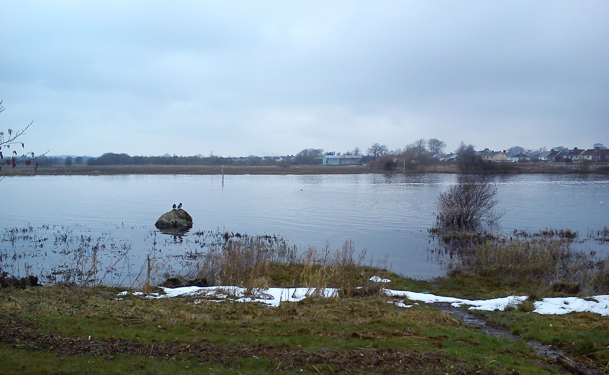 DSC_0001.jpg