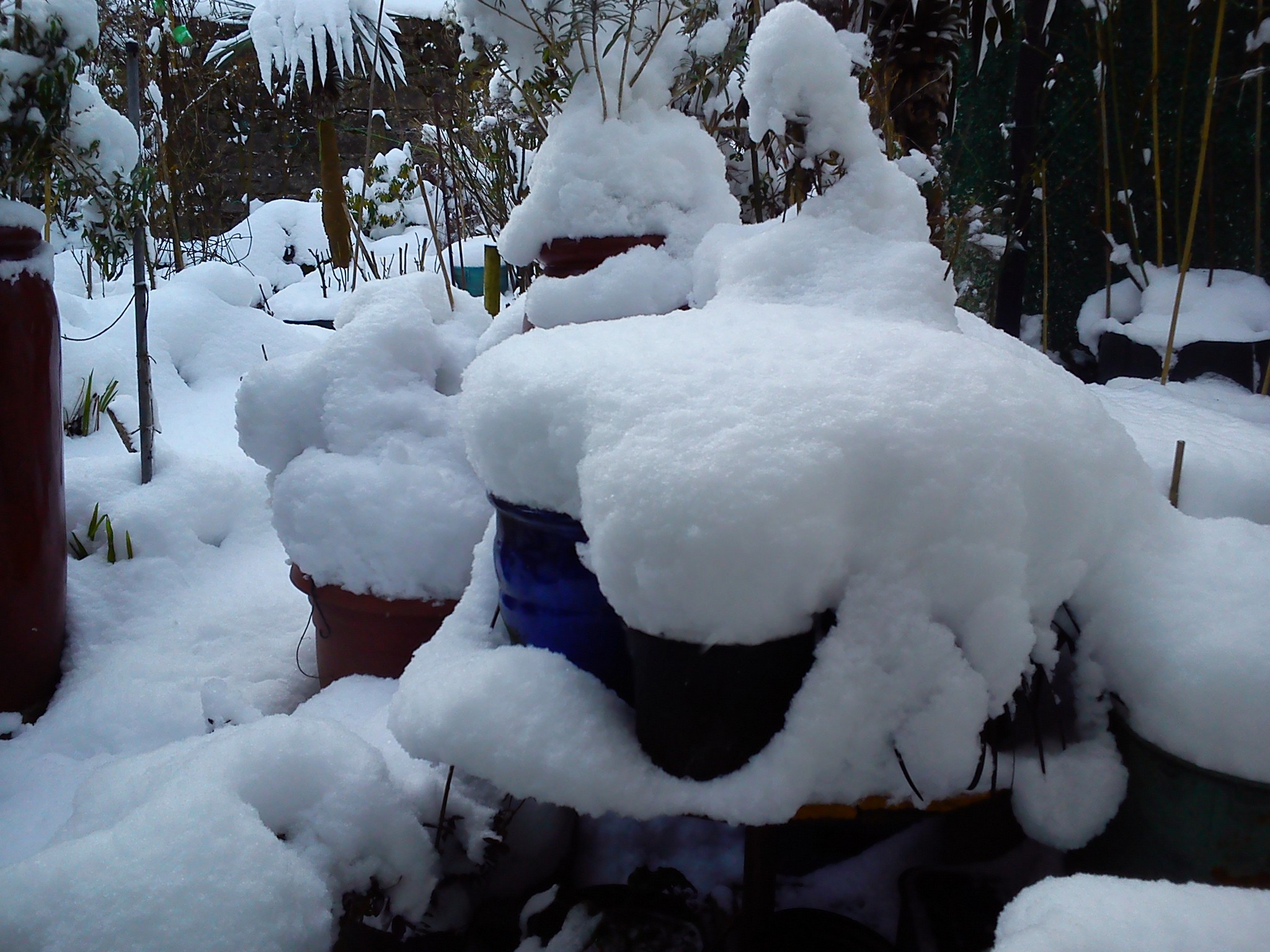DSC_0002.jpg