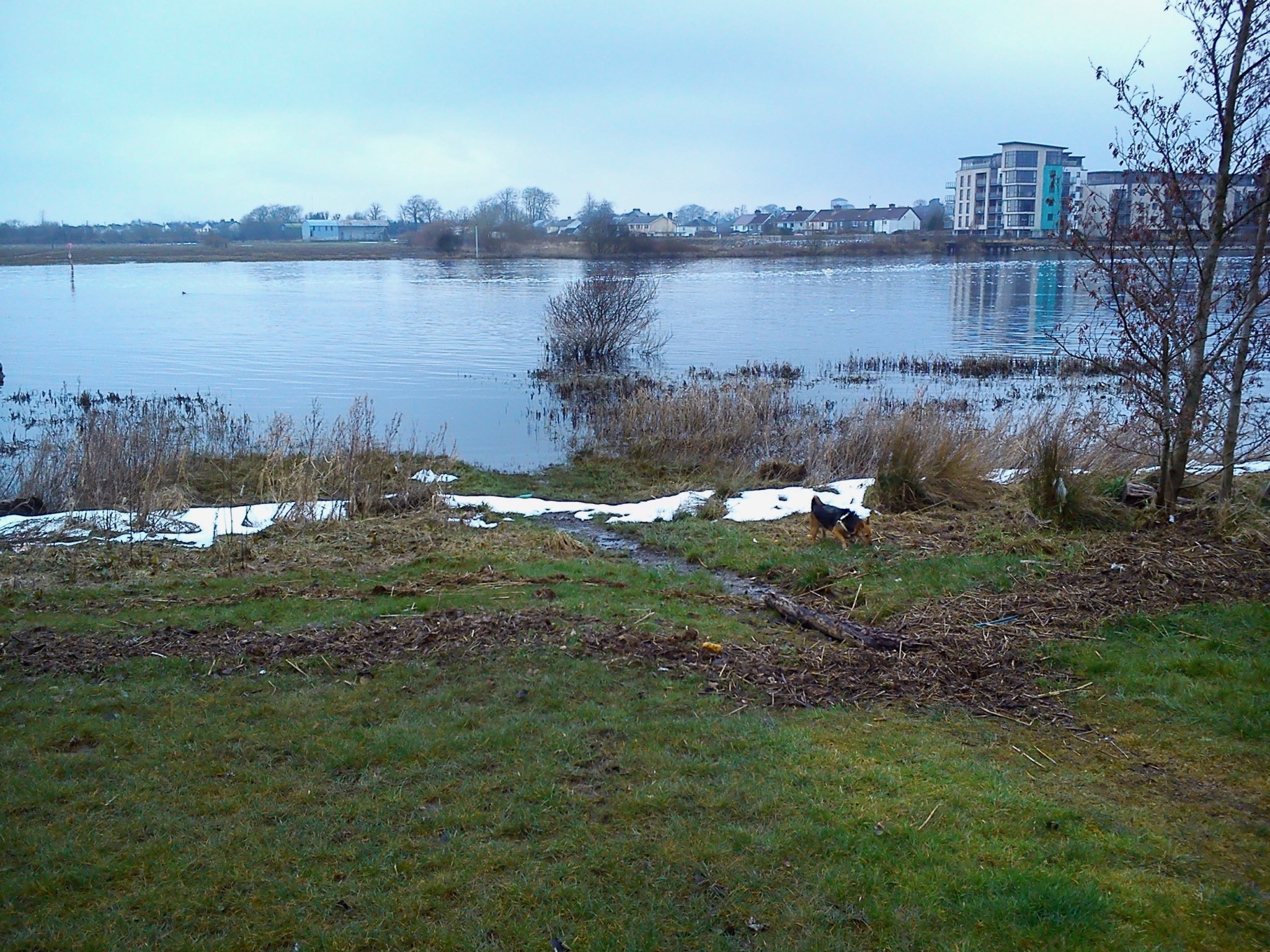 DSC_0002.jpg