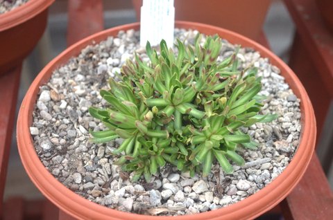 DSC_0005.JPG