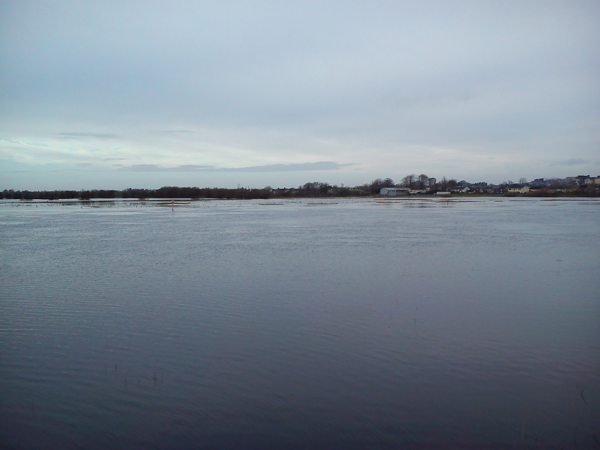 DSC_0005.jpg