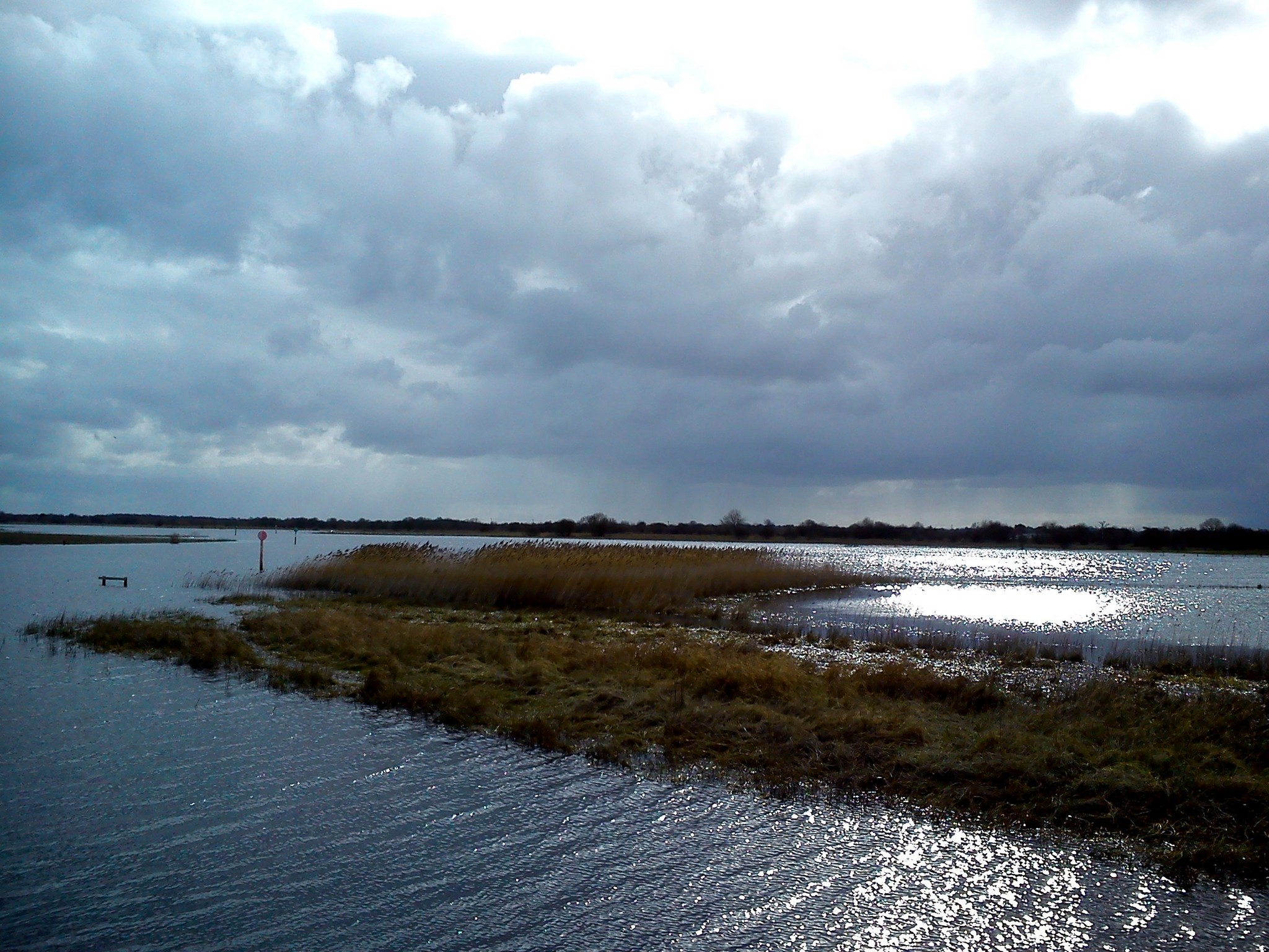 DSC_0006.jpg