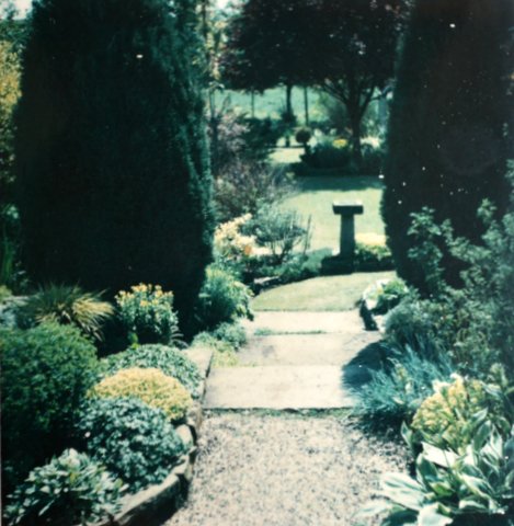 DSC_0009.JPG