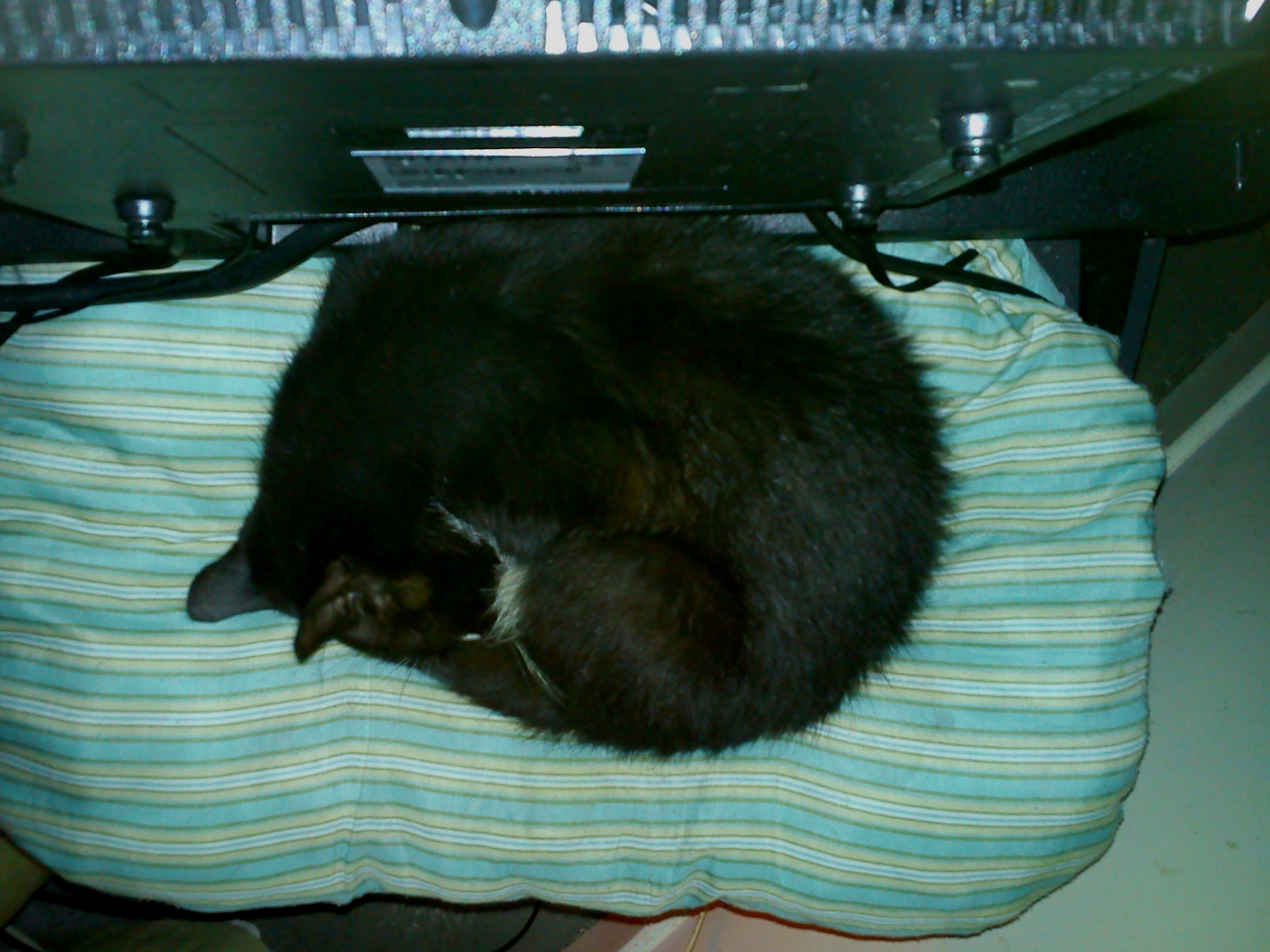 DSC_0011.jpg