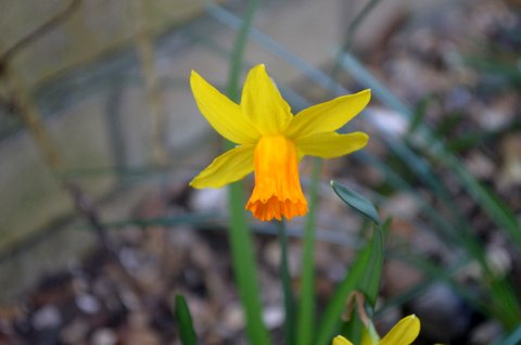 DSC_0011.JPG