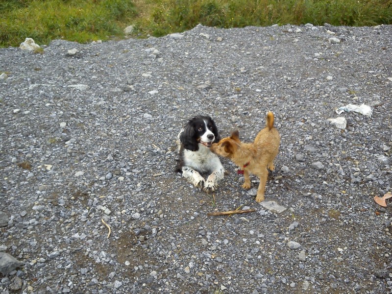 DSC_0012.jpg