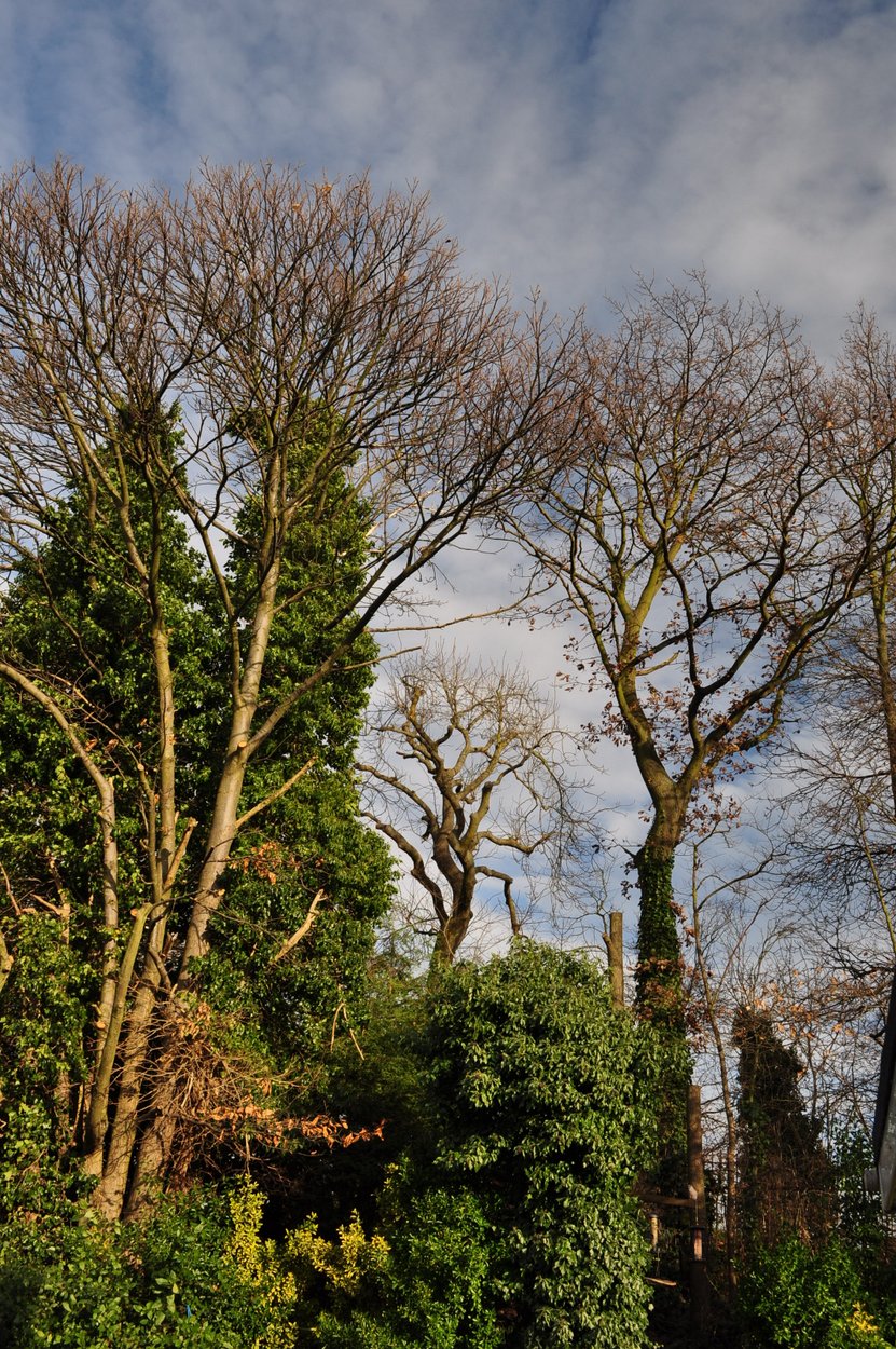 DSC_0014-1.JPG