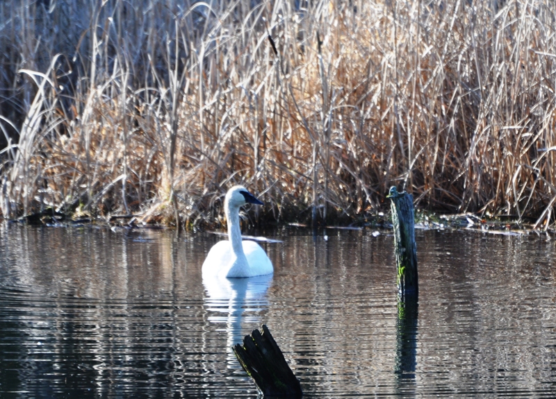 DSC_0015.JPG