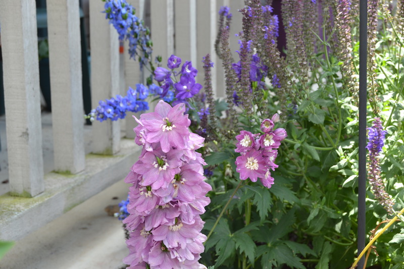 DSC_0017_1.jpg