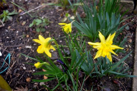 DSC_0021.JPG
