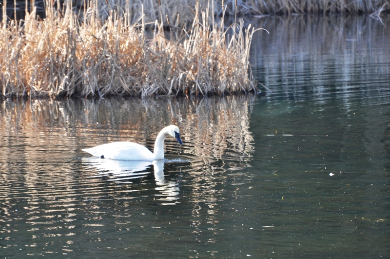 DSC_0022.JPG