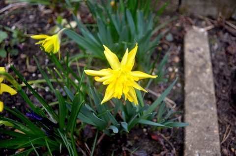 DSC_0023.JPG